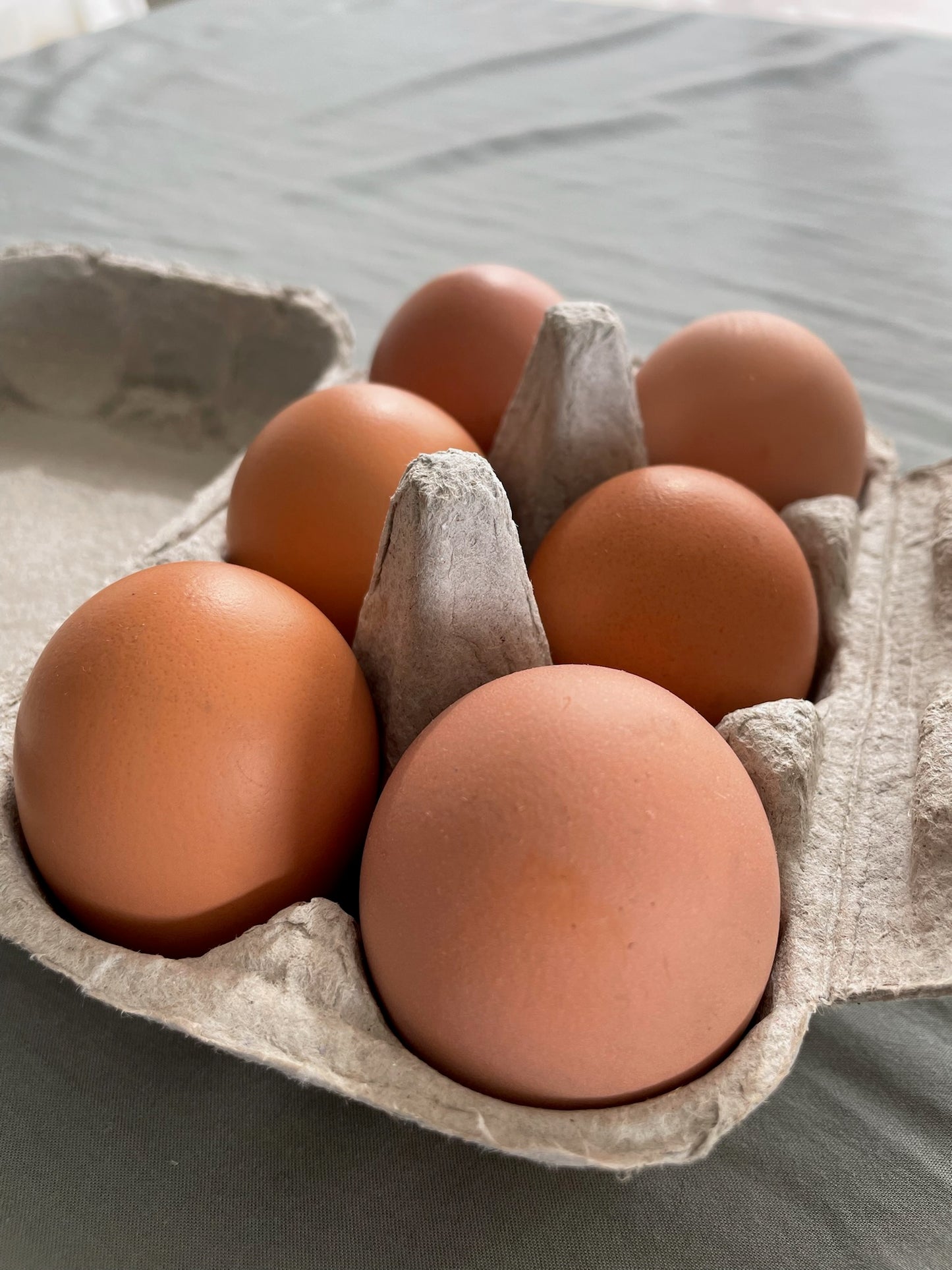 1/2 dozen pasture raised eggs 350g