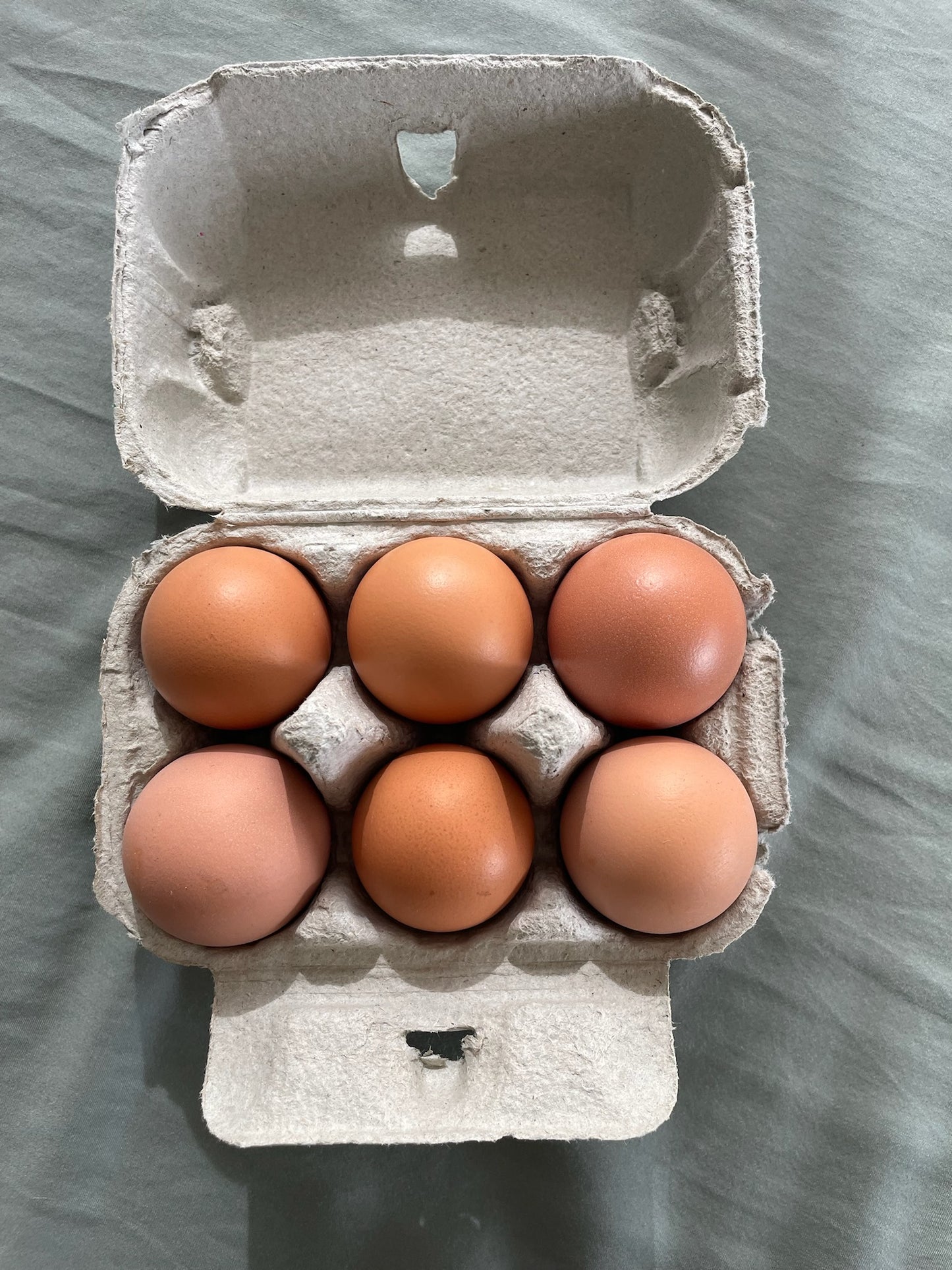 1/2 dozen pasture raised eggs 350g